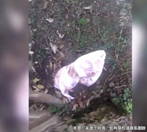 丟棄嬰兒在荒野