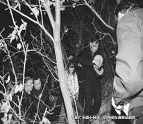 妻子被丈夫殺死，妻子父母為財產將女婿起訴