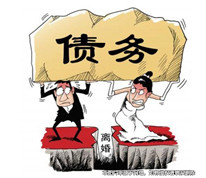 未證明債務(wù)用于日常生活所需，不認(rèn)定為夫妻共同債務(wù)