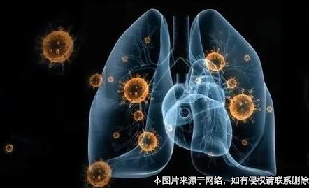 疫情期間我的房租還能收到嗎？