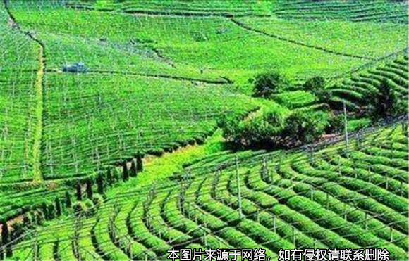 責(zé)任田的補償款是否能作為遺產(chǎn)繼承？