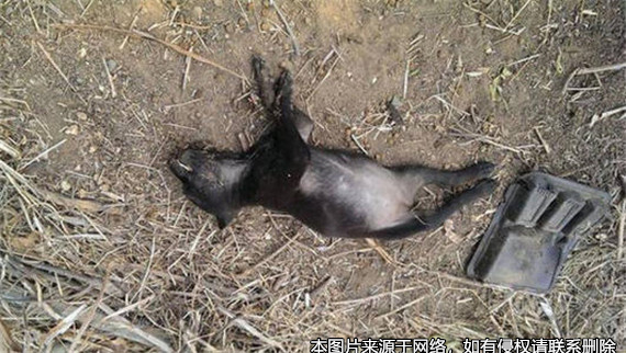 最后一次時將男子毒死
