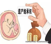 丈夫去世后，留下的胚胎是否有繼承權？