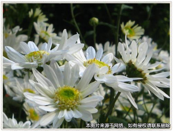 父親去世前2天轉(zhuǎn)到兒子名下的錢款  法院認(rèn)定不是父親的遺產(chǎn)