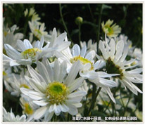 父親去世前2天轉(zhuǎn)到兒子名下的錢款  法院認(rèn)定不是父親的遺產(chǎn)