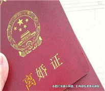 為逃避債務而假離婚，弄假成真起矛盾