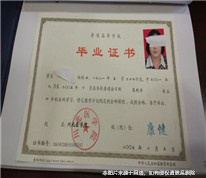 公司高管偽造學歷證書被開除，上訴求補償金未獲法院支持