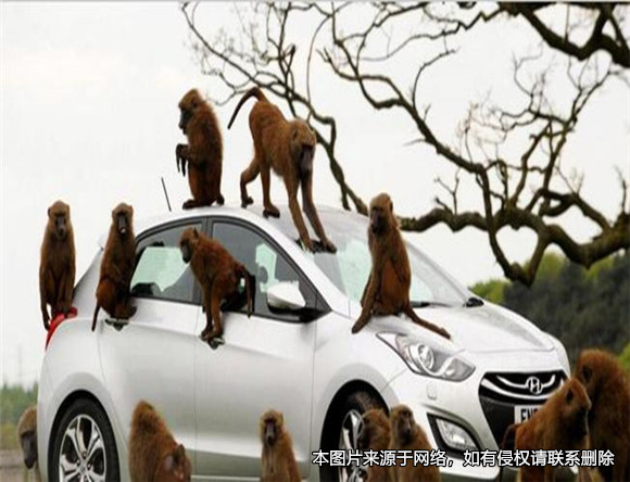 老人開車時陌生男子攀爬，加速行駛致其墜亡后被判刑