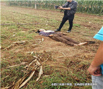 小偷半夜偷車被電死，其家屬向車主和小區物業索賠二十多萬