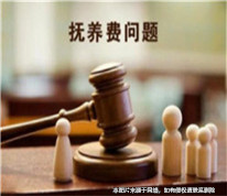 父母離婚多年，兒子起訴未支付撫養(yǎng)費(fèi)的母親