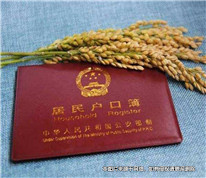 為給非婚生子上戶口，表兄妹登記結婚起糾紛