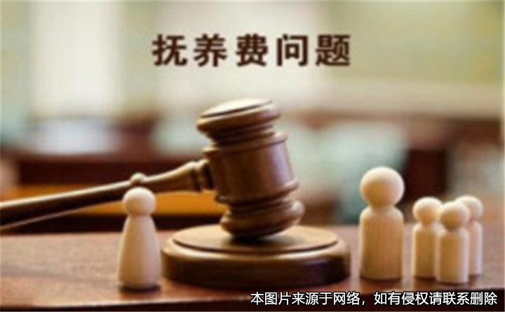 離婚后父親拒絕支付兒子的撫養費被申請強制執行