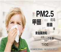 租賃房屋甲醛超標，法院判決解除租房合同